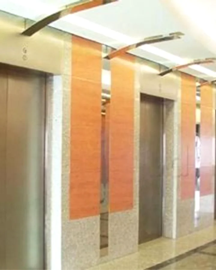 Great India Elevator field technician at a lift site